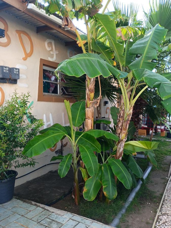 Appartement Aruba Backpackers à Oranjestad Extérieur photo
