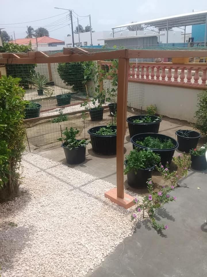 Appartement Aruba Backpackers à Oranjestad Extérieur photo