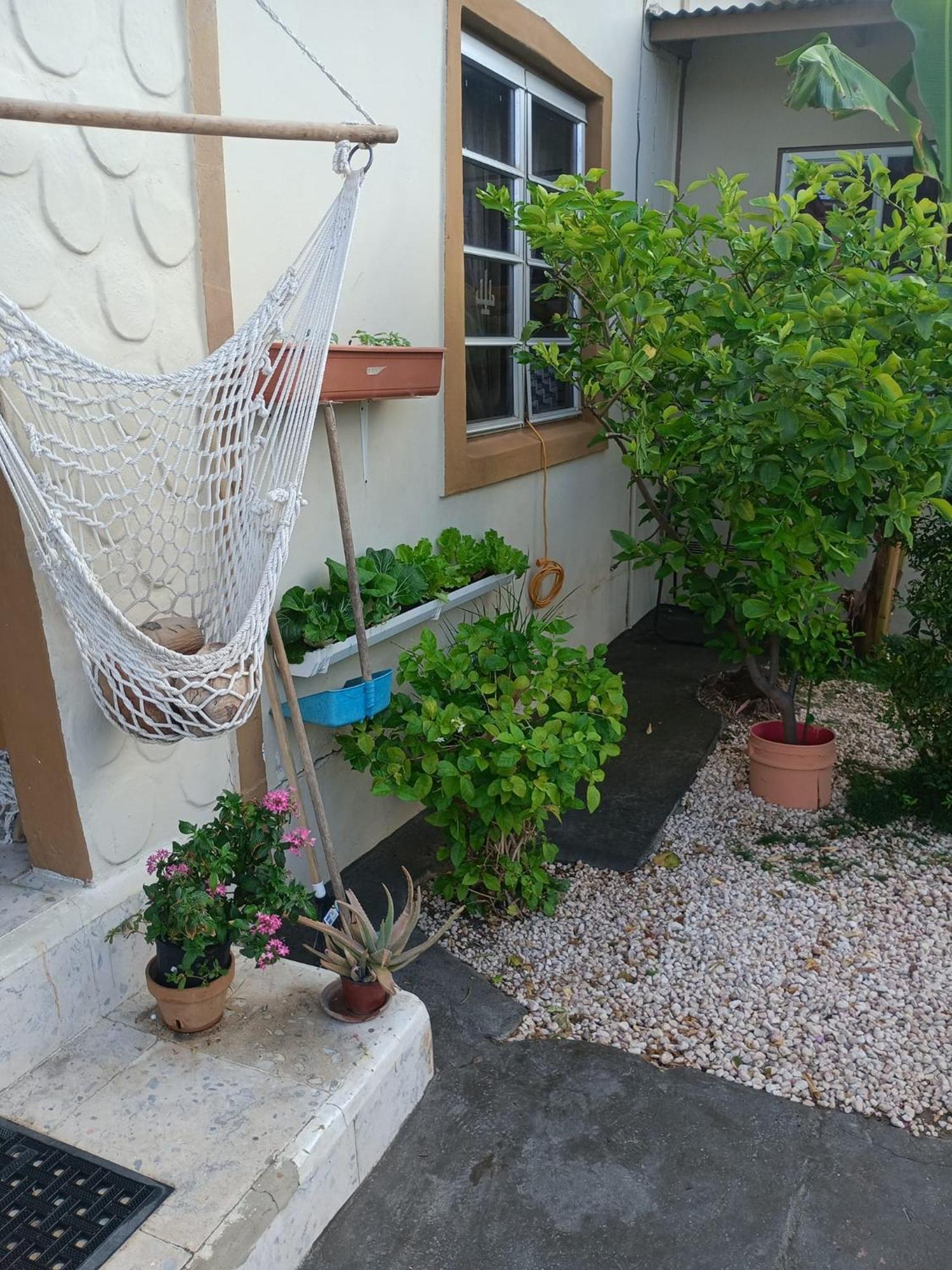 Appartement Aruba Backpackers à Oranjestad Extérieur photo