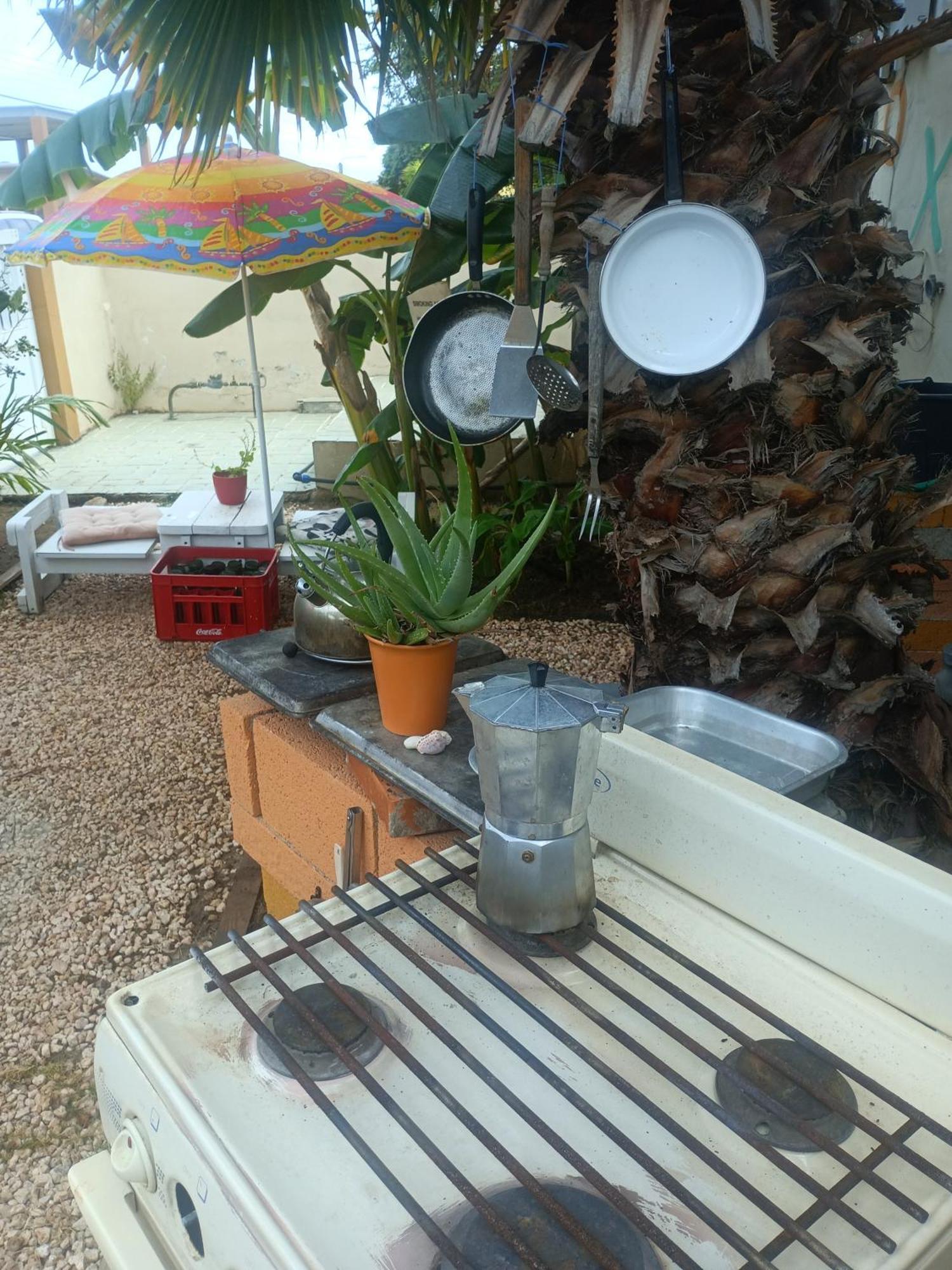 Appartement Aruba Backpackers à Oranjestad Extérieur photo